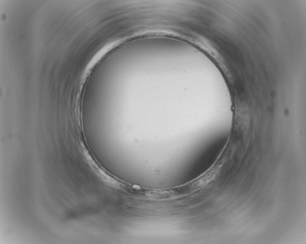 X0000059231199200510281857