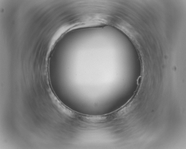 X0000059231200200510281857