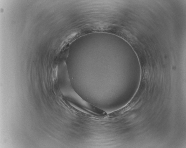 X0000059231202200510281856