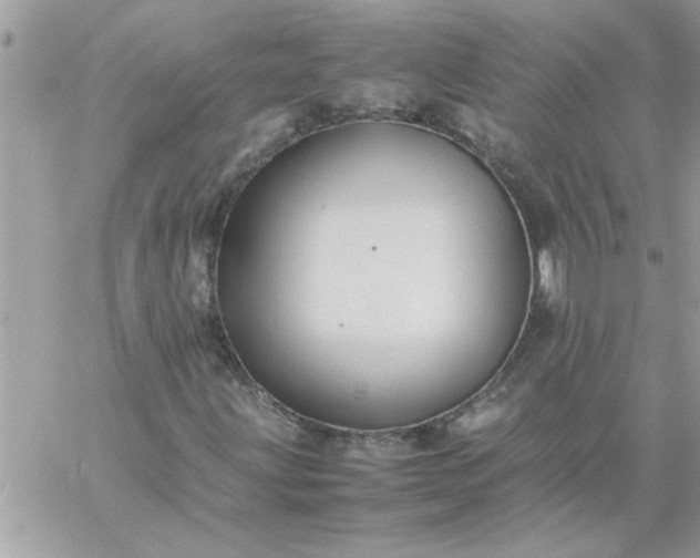 X0000059231203200510281856