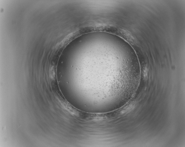 X0000059231204200510281856