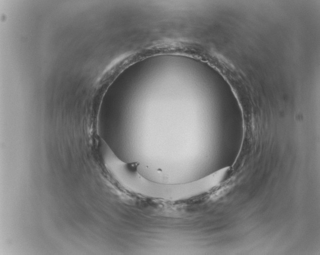 X0000059231206200510281857