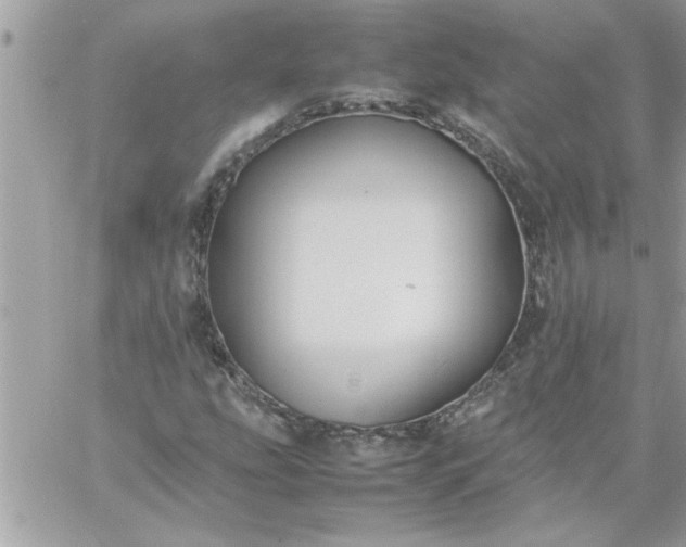 X0000059231207200510281857