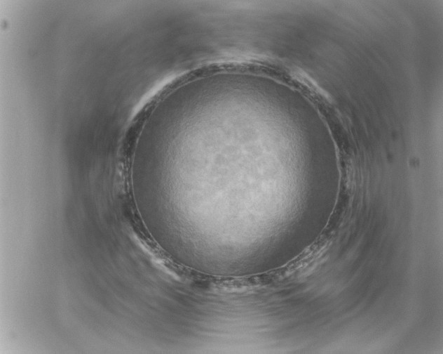 X0000059231208200510281857