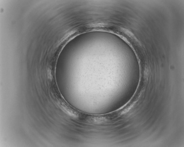 X0000059231209200510281857