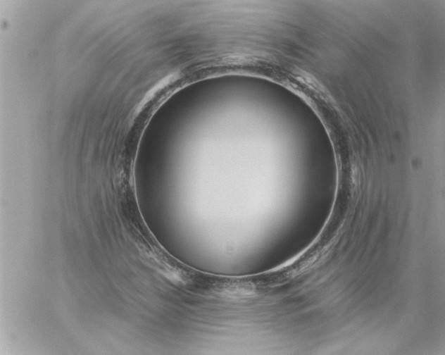 X0000059231210200510281857