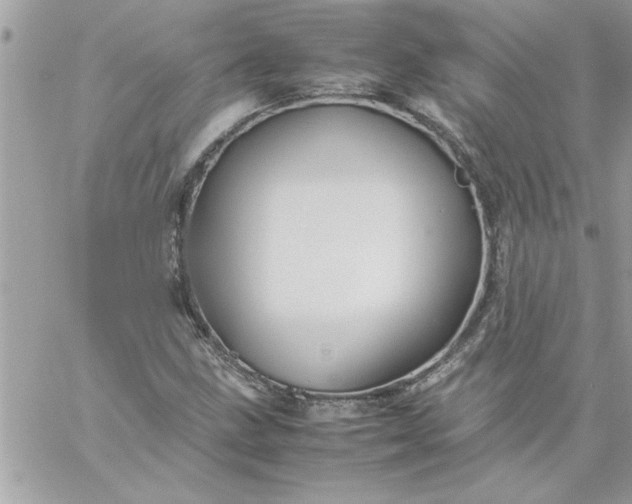 X0000059231211200510281857