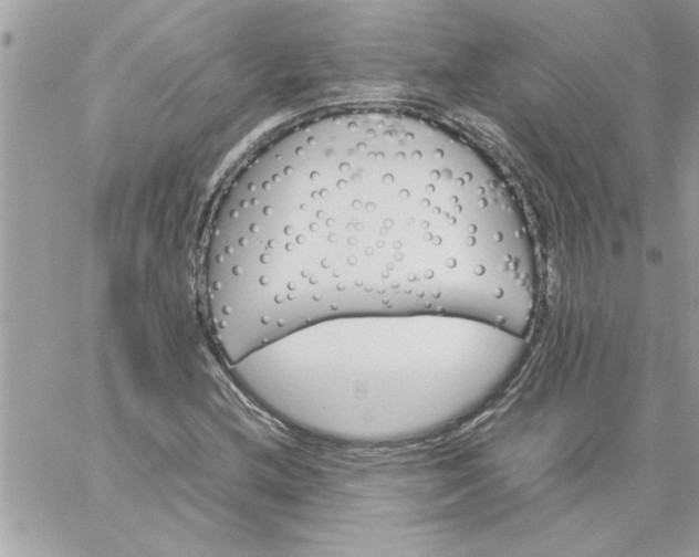 X0000059231212200510281857