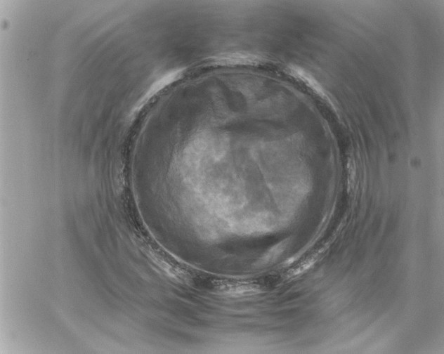 X0000059231213200510281857