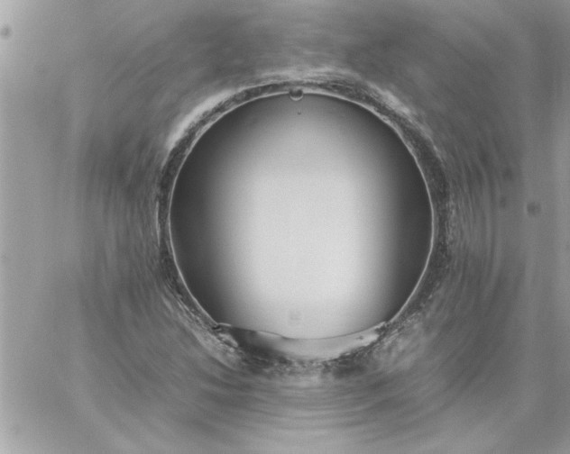 X0000059231214200510281857