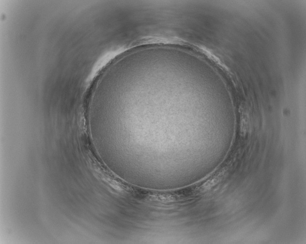 X0000059231215200510281857