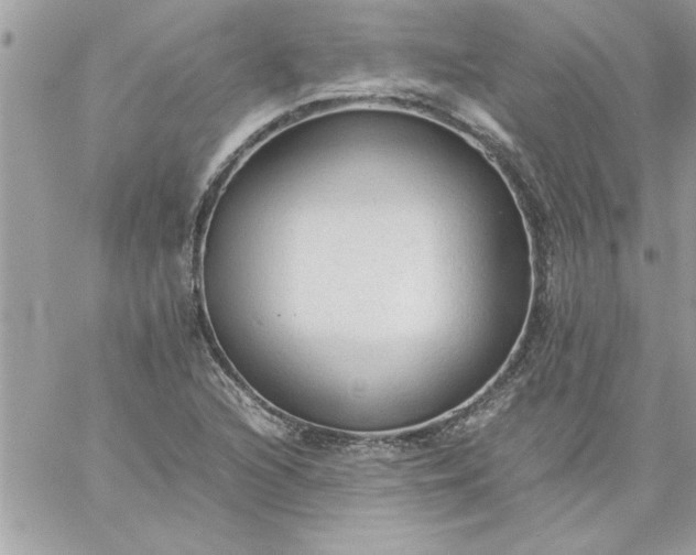 X0000059231216200510281857