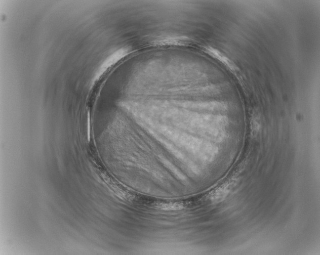 X0000059231219200510281857