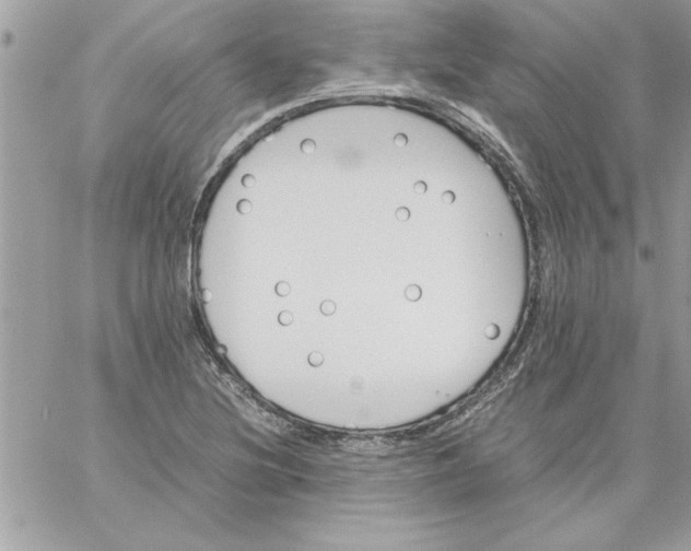 X0000059231220200510281857