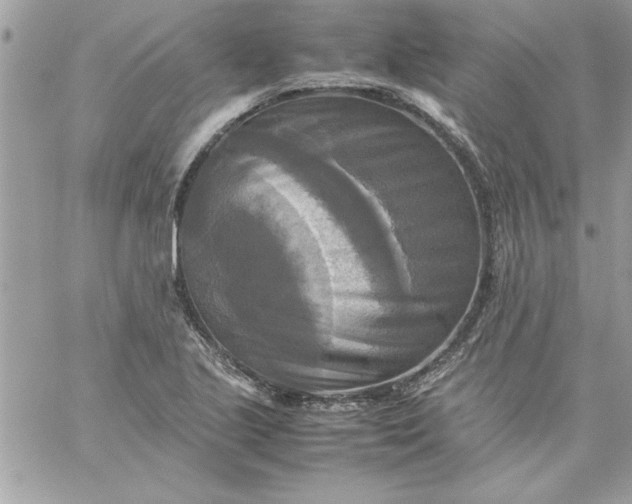 X0000059231221200510281857