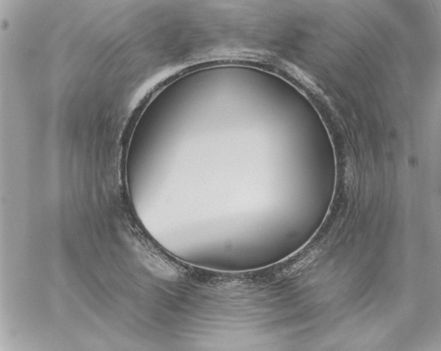 X0000059231222200510281857