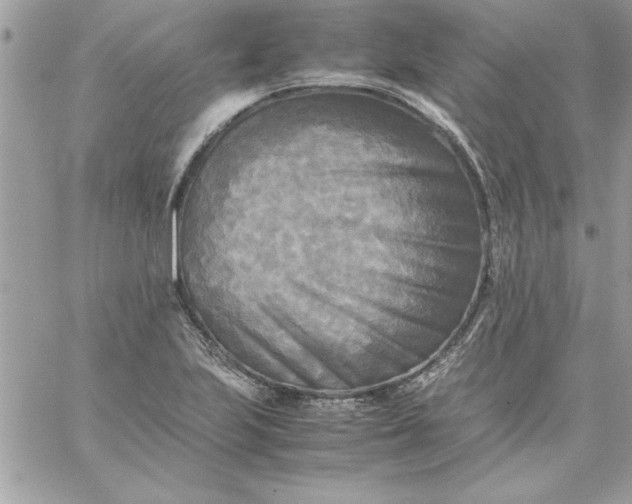 X0000059231223200510281857