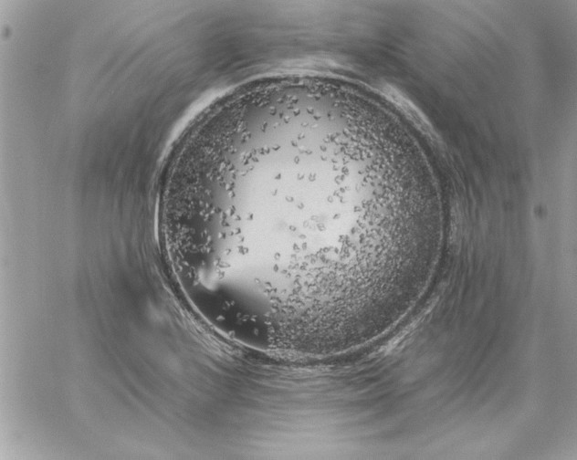 X0000059231224200510281857