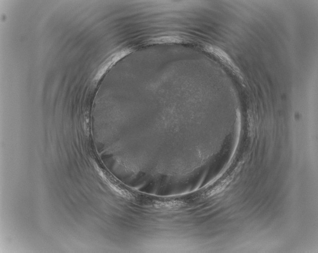 X0000059231225200510281857