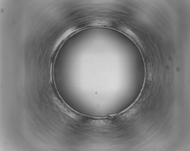 X0000059231227200510281857