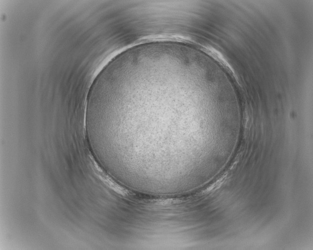 X0000059231228200510281857