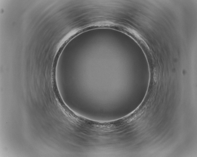 X0000059231229200510281857