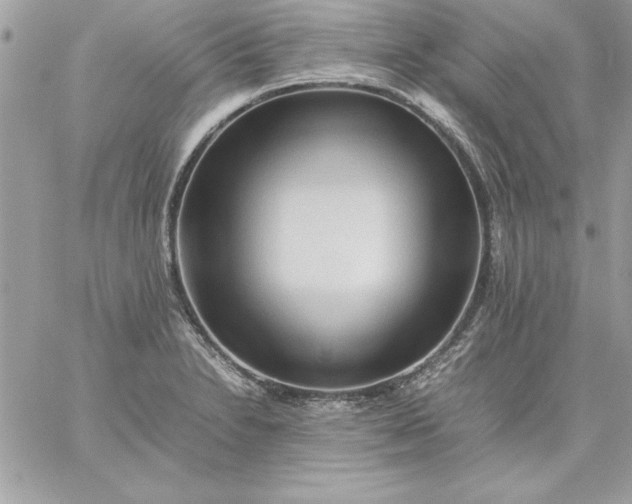 X0000059231230200510281857