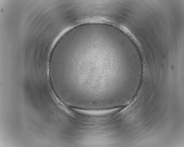 X0000059231232200510281857