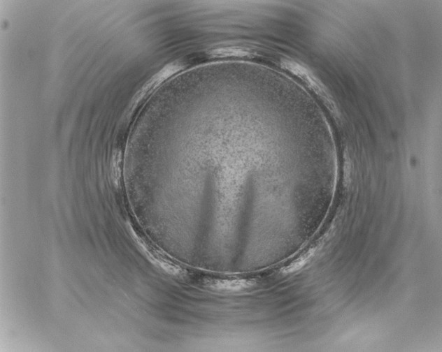 X0000059231233200510281857