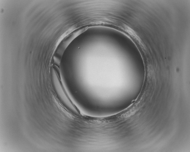 X0000059231234200510281857