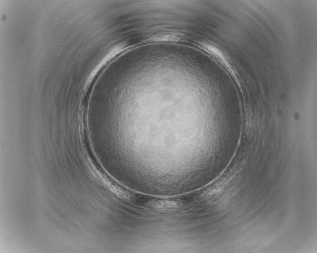 X0000059231235200510281857