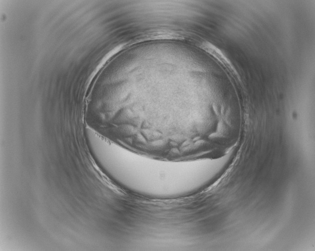 X0000059231236200510281857