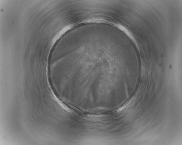 X0000059231237200510281857