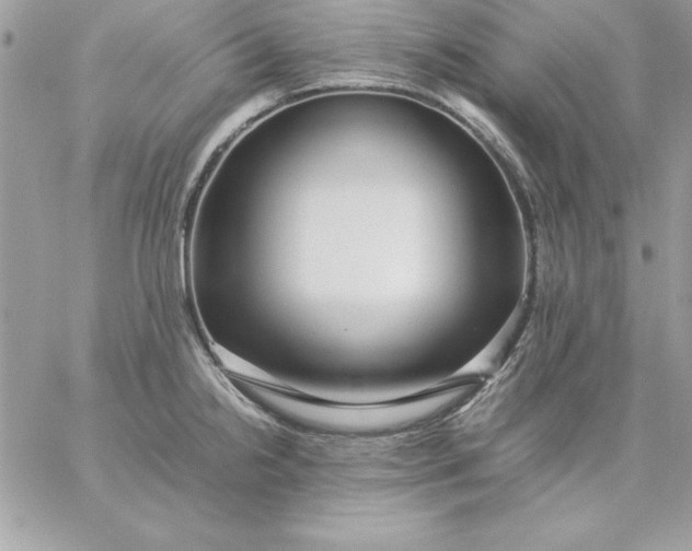 X0000059231238200510281857