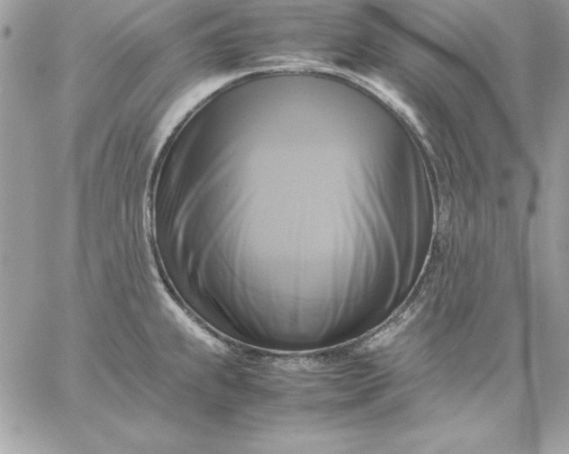 X0000059231239200510281857