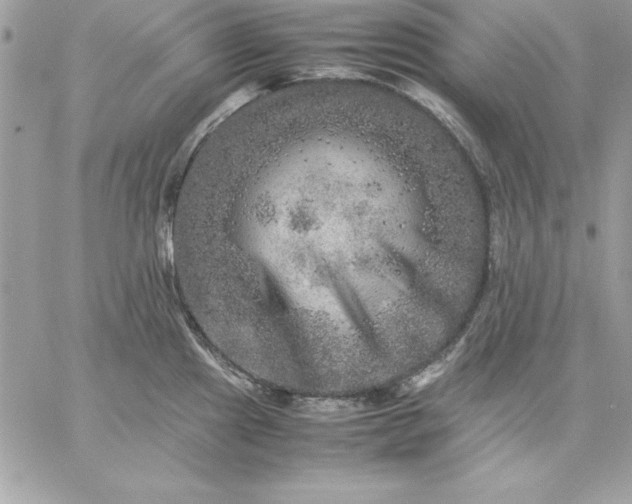 X0000059231241200510281857