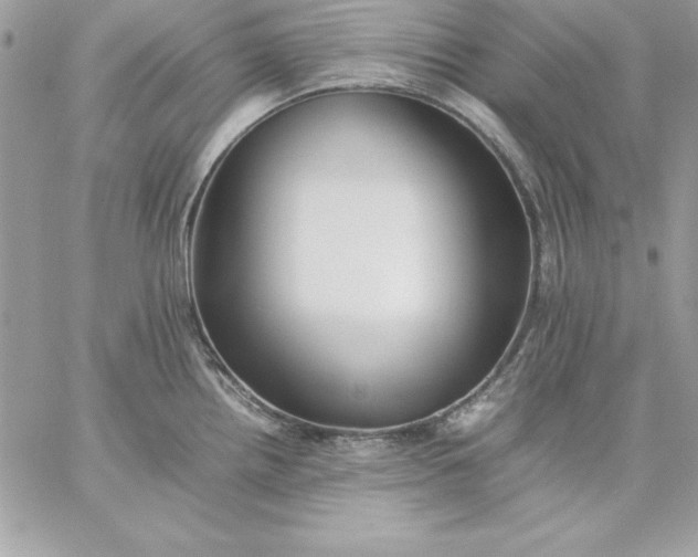 X0000059231242200510281857