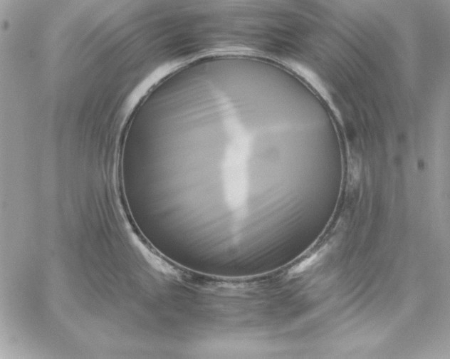 X0000059231245200510281857