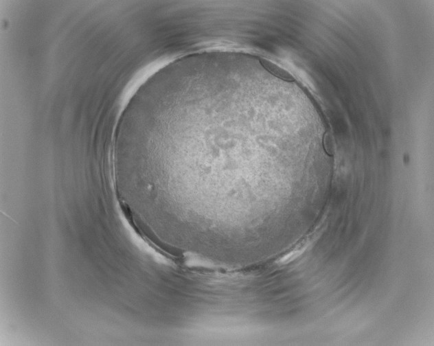 X0000059231247200510281857