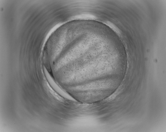 X0000059231248200510281857