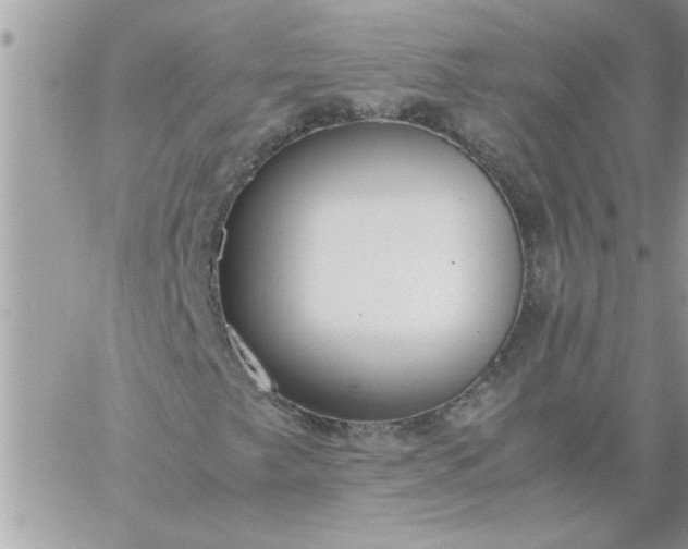 X0000059231249200510281856