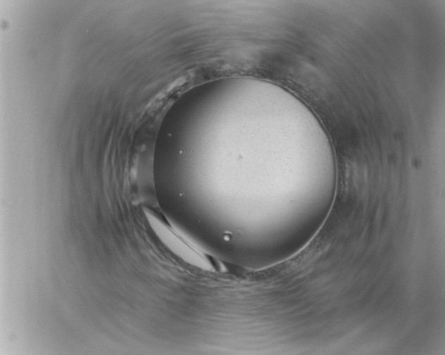 X0000059231250200510281856