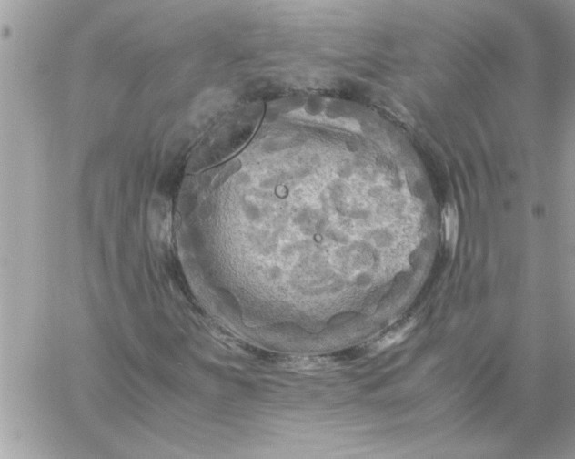 X0000059231251200510281856