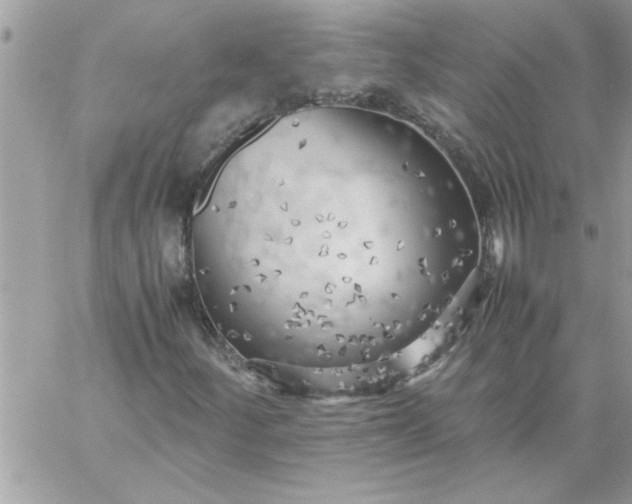 X0000059231252200510281856