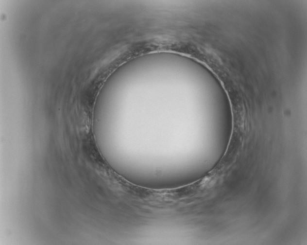 X0000059231253200510281856