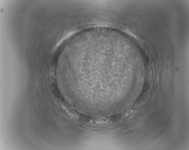 X0000059231255200510281856