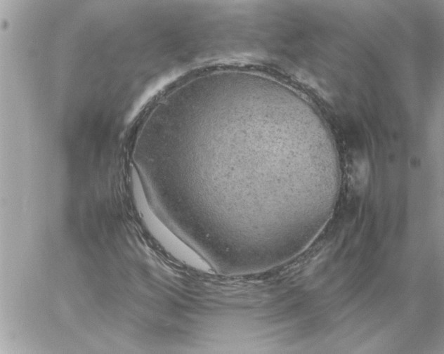 X0000059231256200510281856