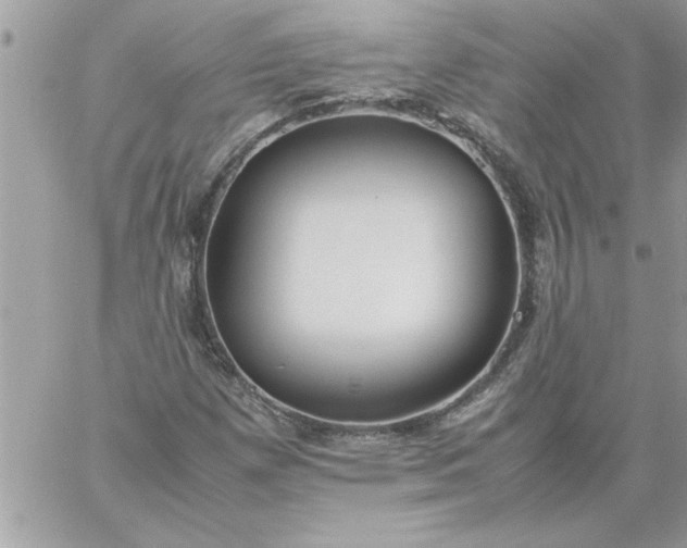 X0000059231257200510281856