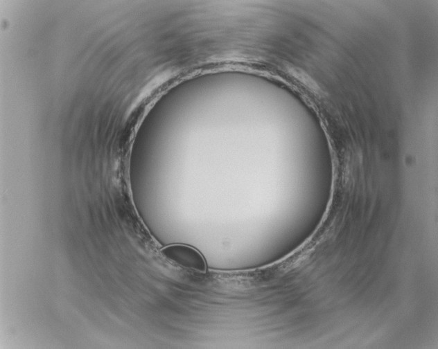 X0000059231258200510281856