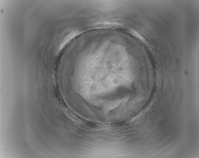 X0000059231259200510281856